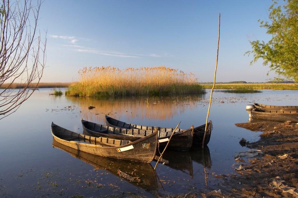 Traditional wooden fishing boats at sunset on the Danube Delta, Romania
