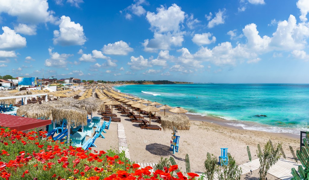 Plage de Vama Veche en été, Roumanie, avec parasols en chaume et coquelicots rouges le long de la Mer Noire