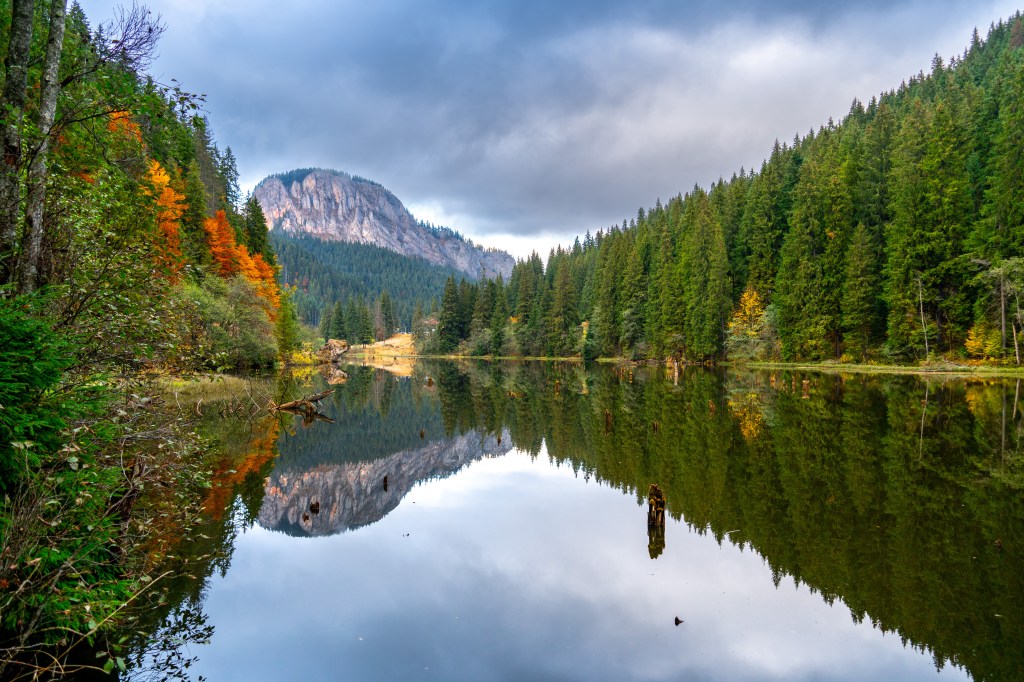 Red Lake (Lacul Roșu) in autumn, Harghita County, Romania, the submerged tree trunks are visible above the surface