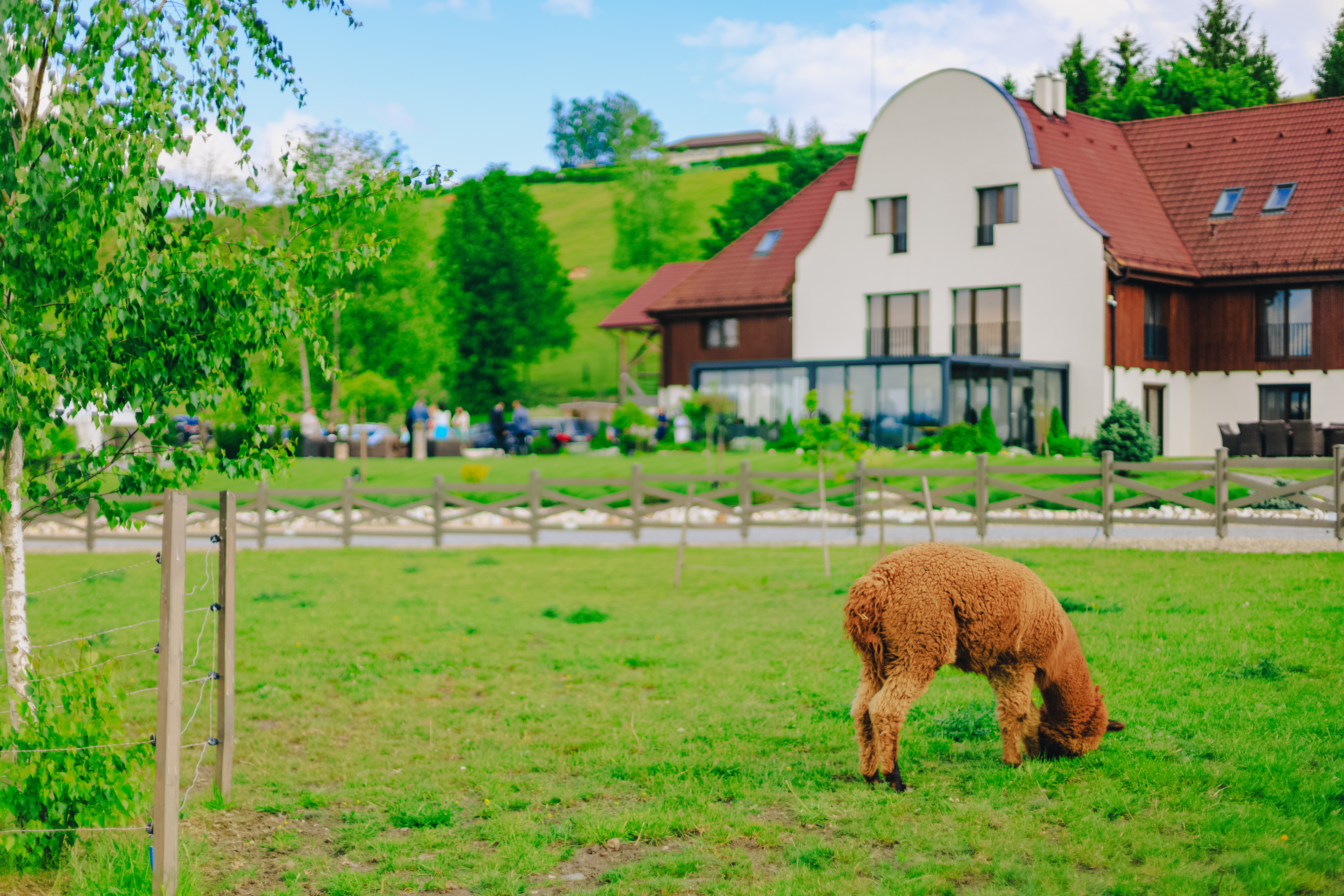 Inside Harghita’s Open Farm Program