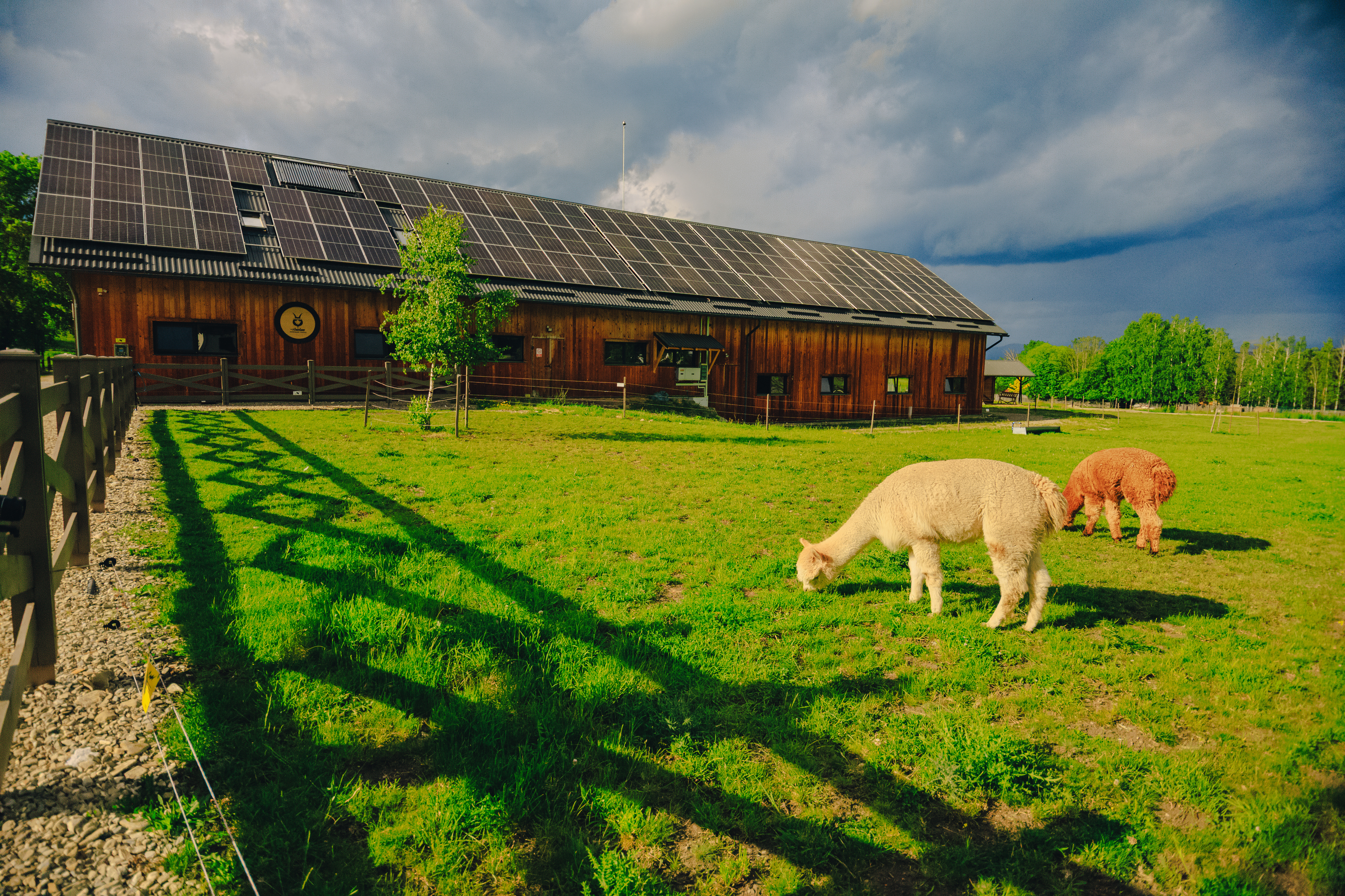Plongée dans le programme Open Farm du Harghita